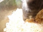DSCN3743 - Kopie.jpg