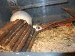 DSCF1457.jpg