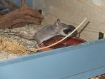 DSCF1477.jpg