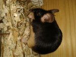 20130708_195459.jpg