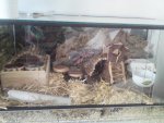 DSC00226.jpg