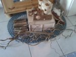 20130712_175324.jpg