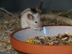 DSCF1713.jpg