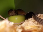 DSCN3947 - Kopie.jpg