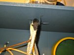 DSCF2010.jpg