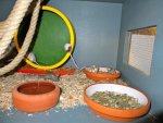 DSCF2158.jpg