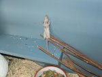 DSCF1519.jpg
