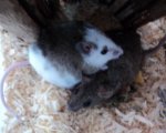 DSC02605.jpg