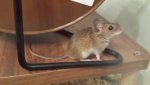 20130715_230536.jpg