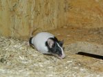 DSCN5920.jpg