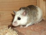 DSC02867.jpg