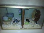 20130822_181323.jpg