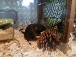 20130823_102402.jpg