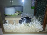 20130822_181344.jpg