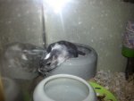 20130822_181637.jpg