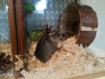 20130823_102420.jpg