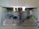 20130826_171839.jpg