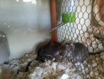 20130826_172341.jpg