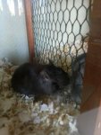 IMG-20130826-WA0003.jpg