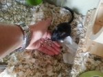 20130901_144844.jpg