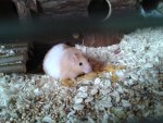 Besuch G.jpg