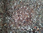 20130912_165540.jpg