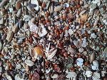 20130912_165548.jpg