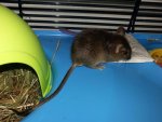 IMG_20131009_172050.jpg