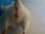 IMG-20131015-00359.jpg