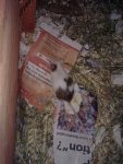 Fotos für Chrissie und Carasma 019.jpg