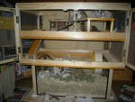 DSCN1475.jpg