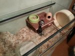 20131025_190129.jpg