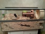 20131025_190339.jpg