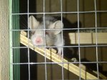 IMG-20131109-00447.jpg