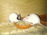 IMG-20131109-00443.jpg