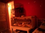 IMG_20131209_212658.jpg
