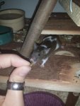 2013-10-04 17.38.58.jpg
