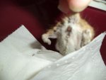 DSC00676.jpg