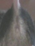 b3.jpg