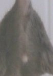 b5.jpg