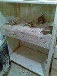 Bild034.jpg Bild034.jpg