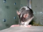 DSCN1769.jpg