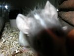 DSCN1762.jpg
