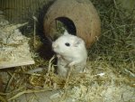 DSC00564.jpg