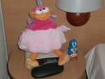 CIMG0714.jpg
