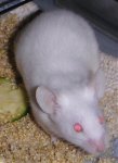 Kopie von PICT0430.jpg