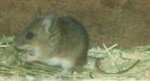 DSCF2245-AUSS.jpg