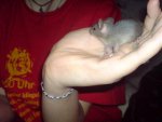 DSC00086.jpg