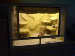 terrabau_022.jpg