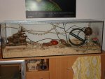 DSC01793.jpg